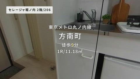 動画