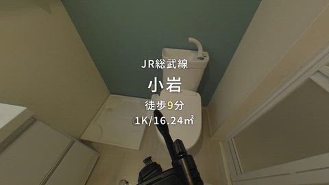 動画