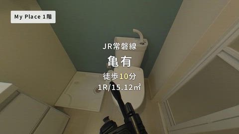 動画