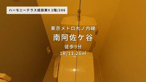 動画