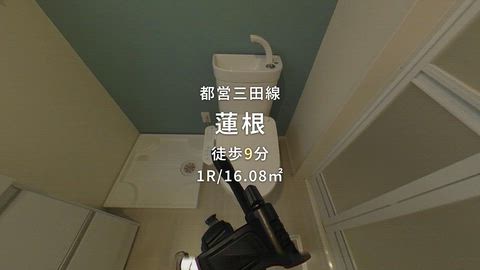 動画