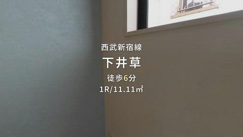 動画