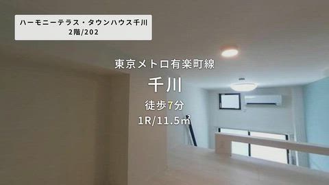 動画