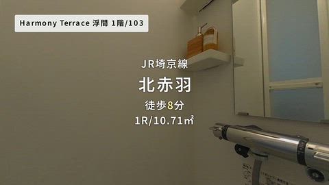 動画