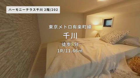 動画