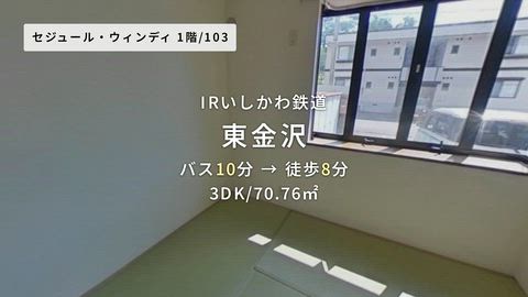 動画