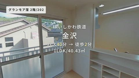 動画