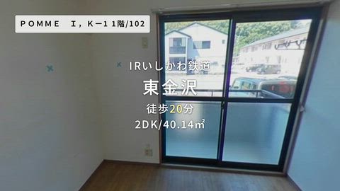 動画