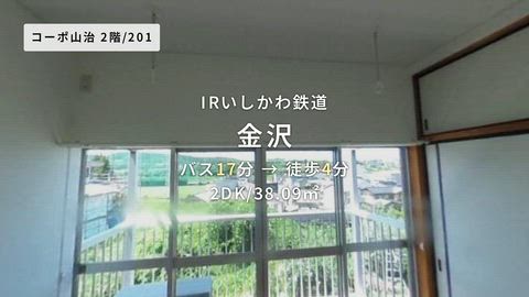 動画
