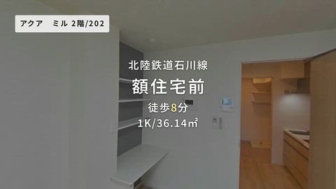 動画