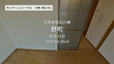 動画