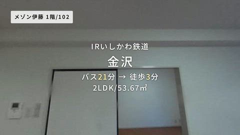 動画