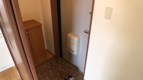 動画