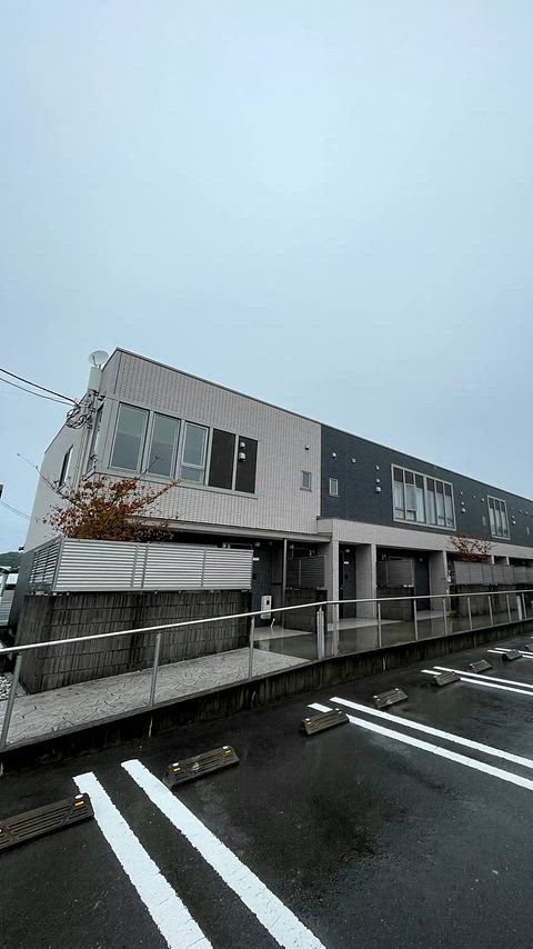 動画