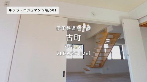 動画