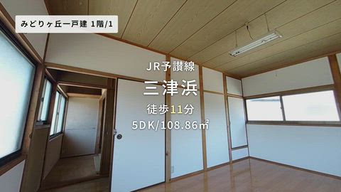動画