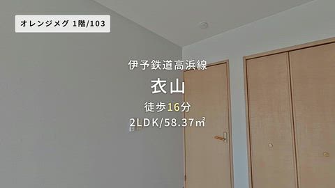 動画