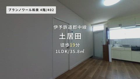 動画