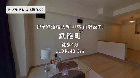 動画