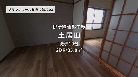 動画