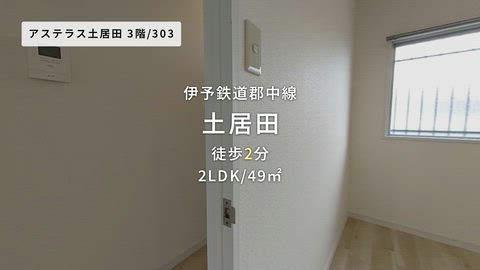 動画