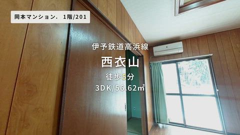 動画