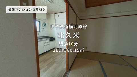 動画