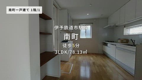 動画