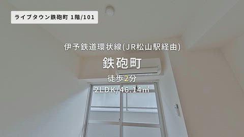 動画