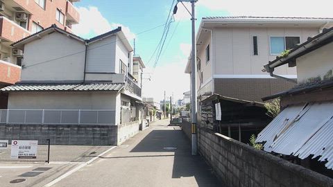 動画