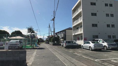 動画