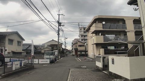 動画