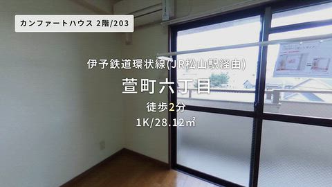 動画