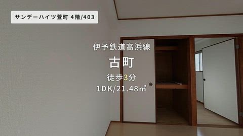 動画