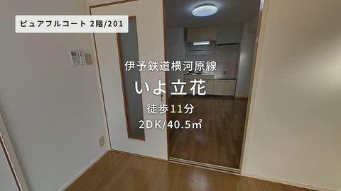動画