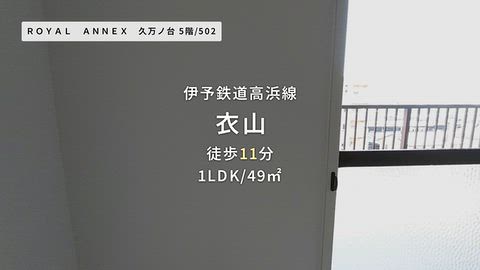 動画