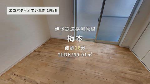 動画