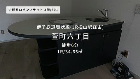 動画