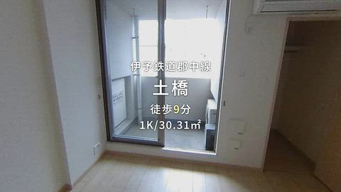 動画
