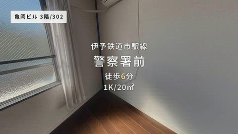 動画
