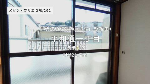 動画
