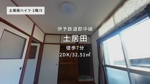 動画