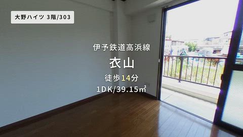 動画
