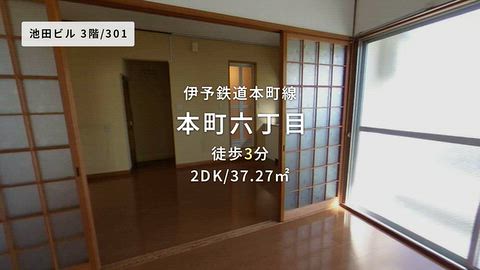 動画