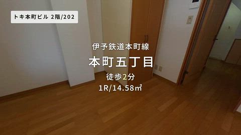動画