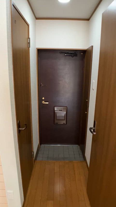 紹介ムービー