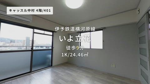 動画