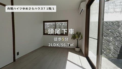 紹介ムービー