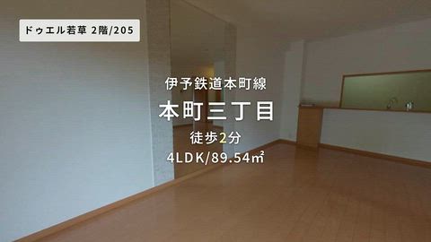 動画