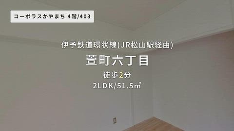 動画